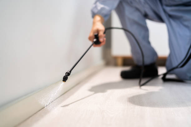 Licensed Pest Control service in Rutgers University-Busch Campus, NJ - Show Me Pest Control