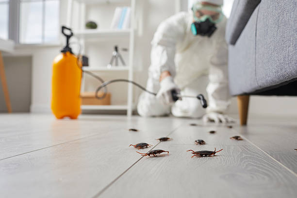 Post-Treatment Bed Bug Interceptor Monitoring in Rutgers University-Busch Campus